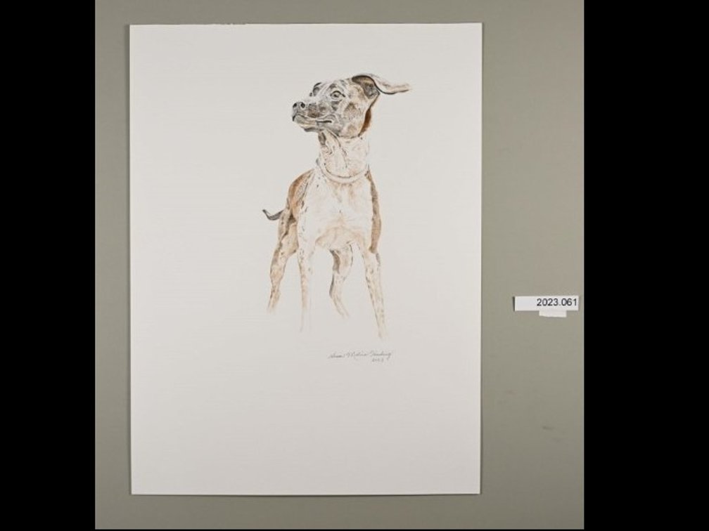 Dog on 140lb watercolour paper