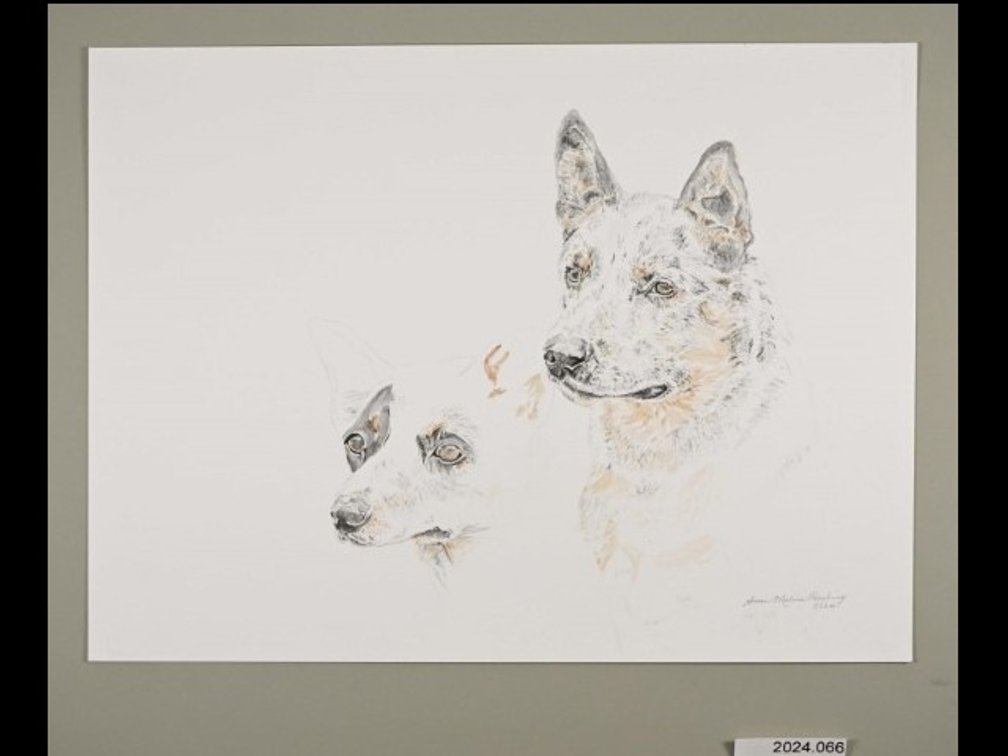 Two Dogs on 140lb watercolour paper