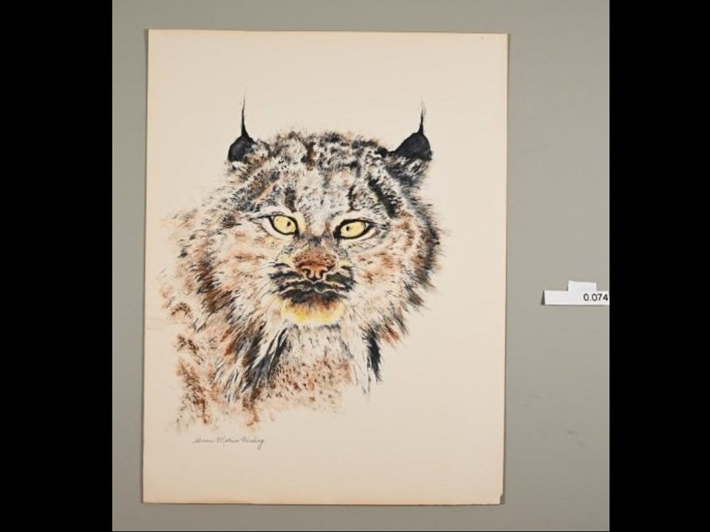 Lynx on 140lb paper