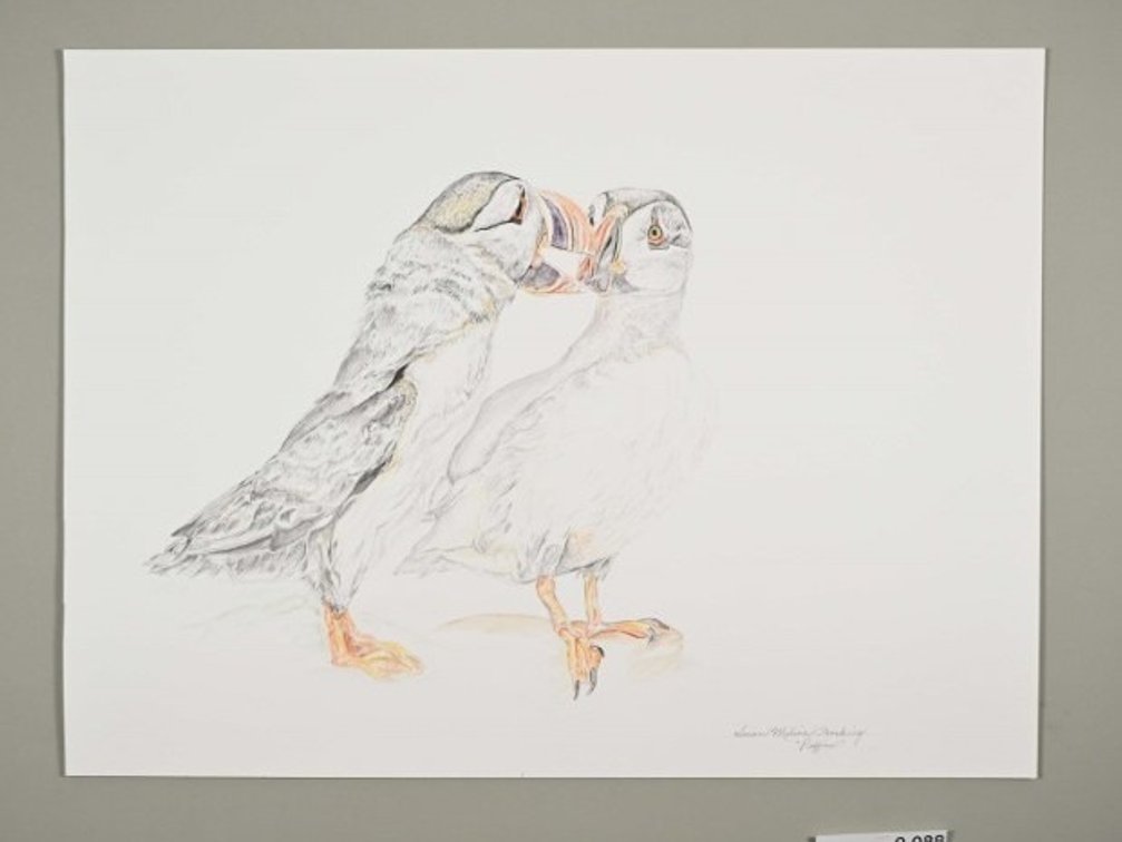 Puffins on 140lb watercolour paper