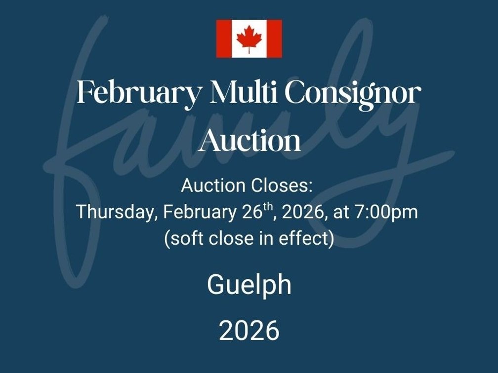 Image for February Multi Consignor Auction - Guelph