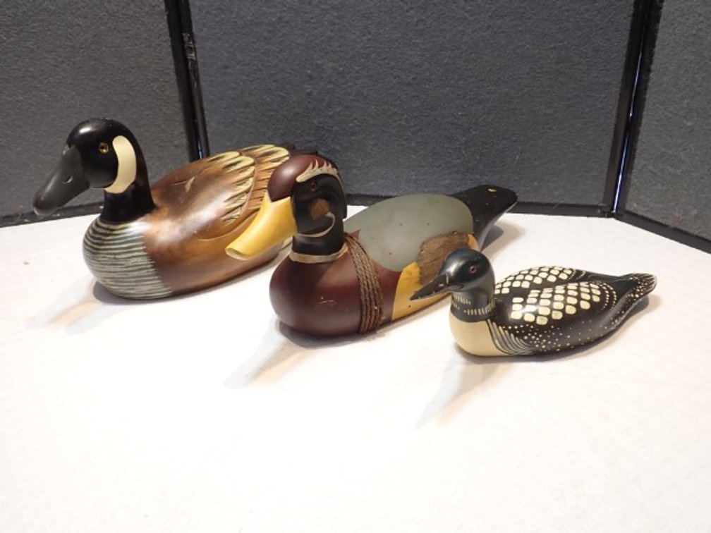 A Goose A Duck & A Loon