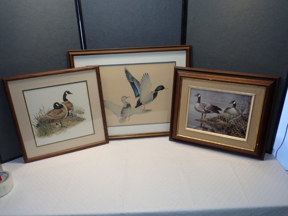Waterfowl Prints