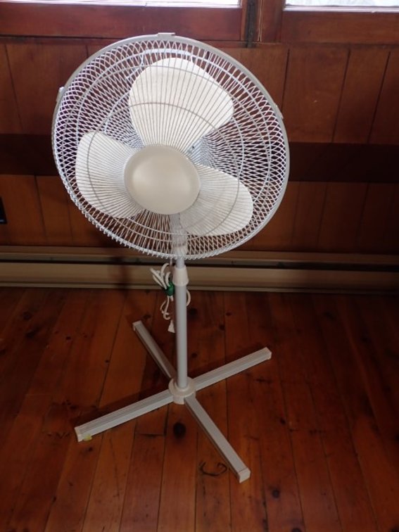 Oscillating Stand Fan