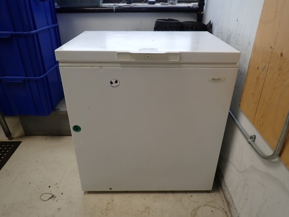 Woods Chest Freezer