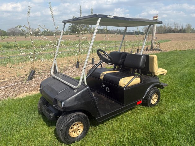 Image for May Multi Consignor Auction - Guelph