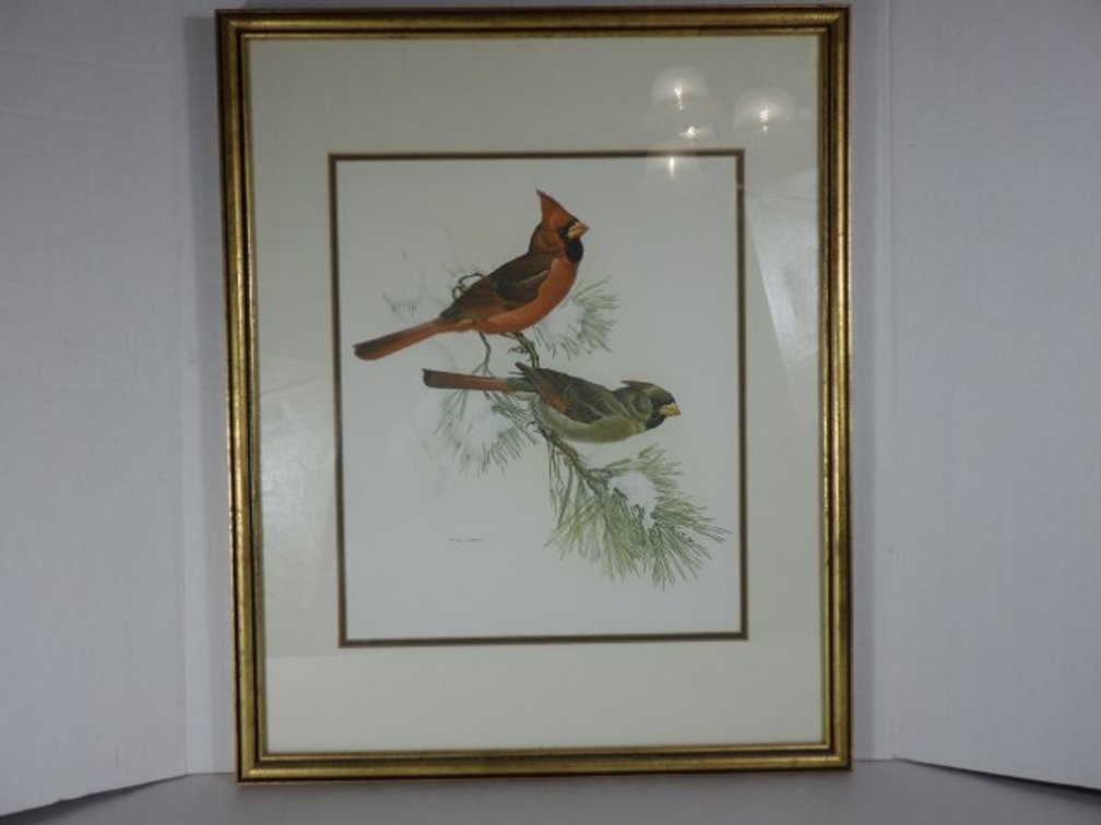 Framed Wildlife Wall Art