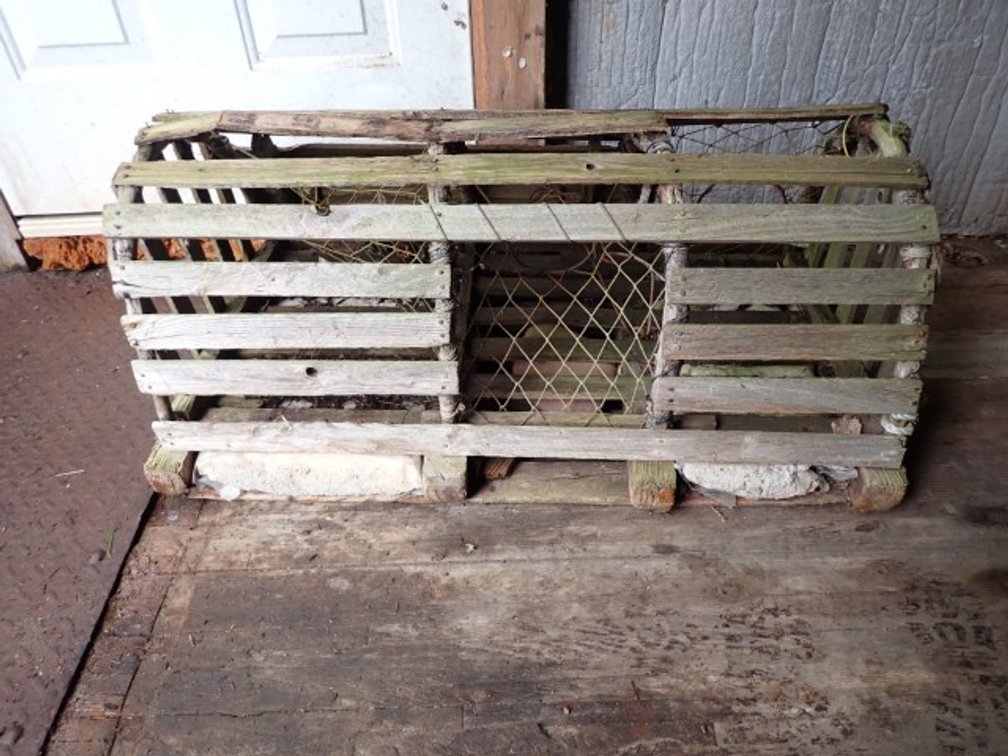 Genuine Lobster Trap