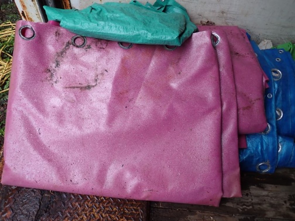 Three Tarps or Coveralls II