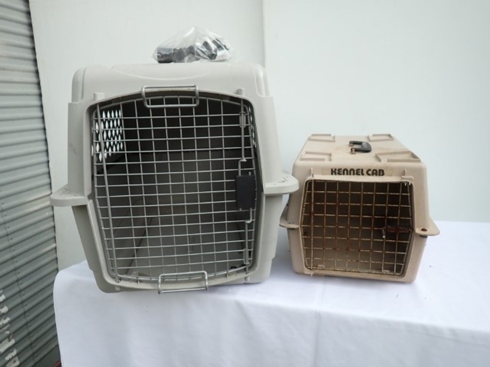 Kennel Cab and Pet Co