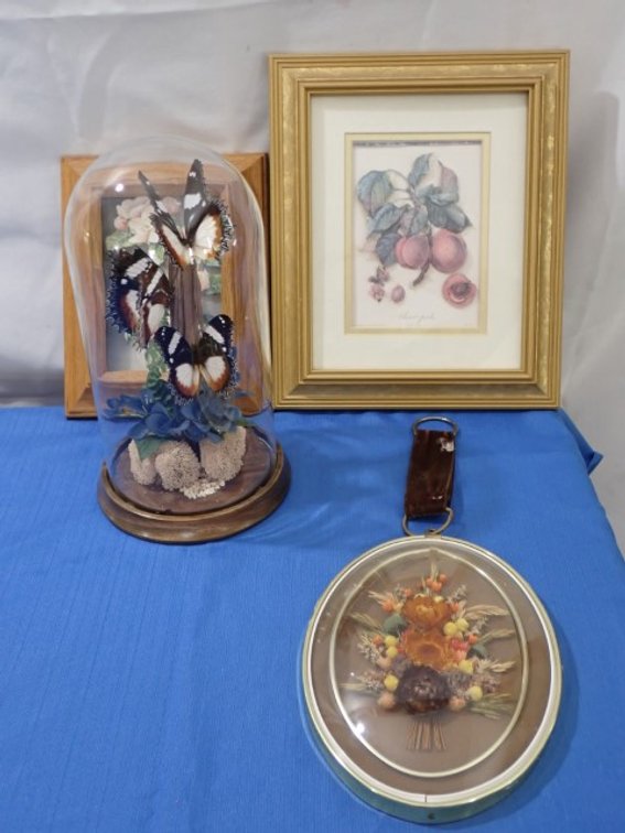 Butterflies under Glass plus
