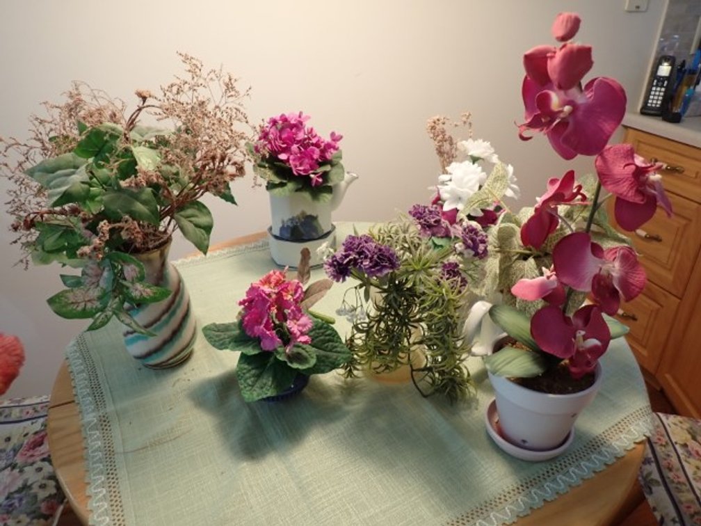 Florals in Pots and Vases