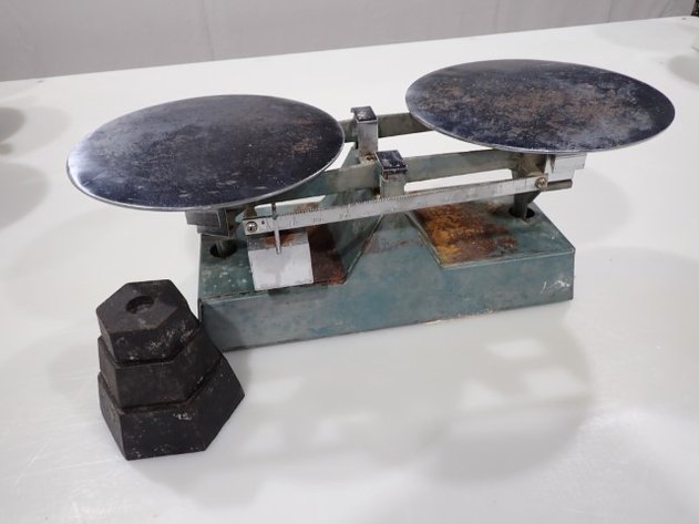 Image for Measuring Scale
