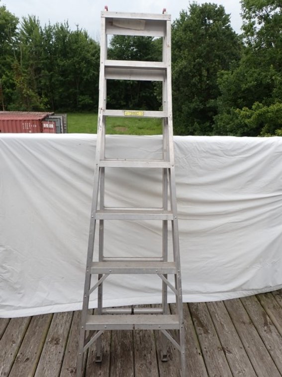Reynolds Aluminum Extension Ladder