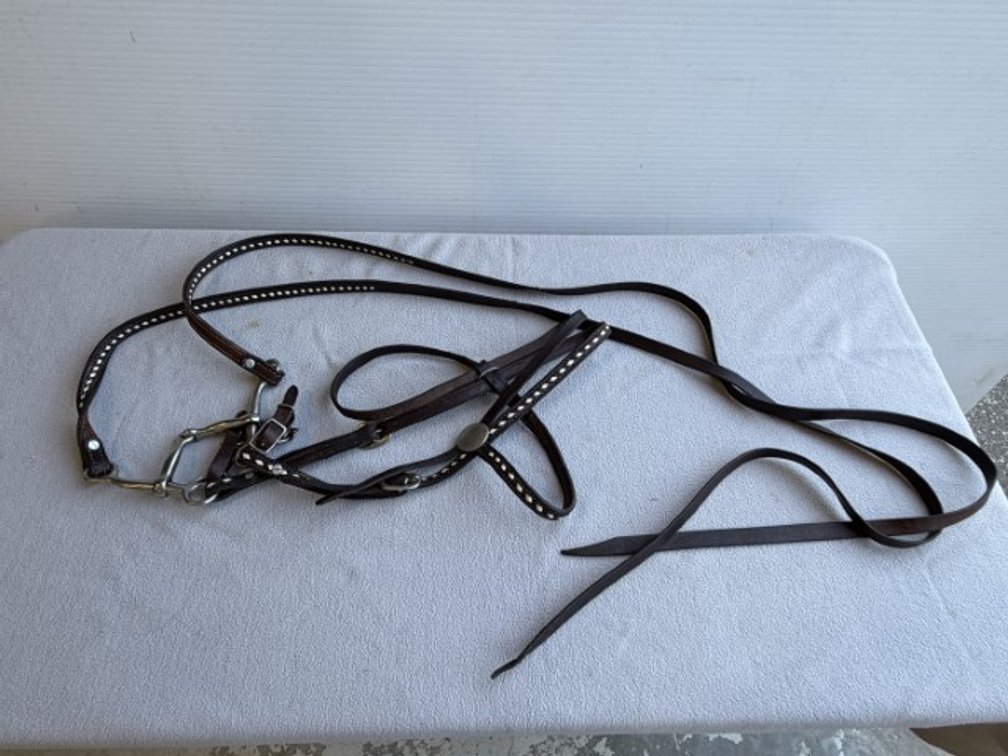 Western Snaffle Bit