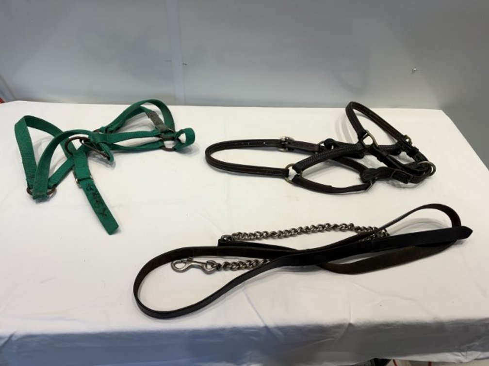 Leather Halter, Lead Shank +