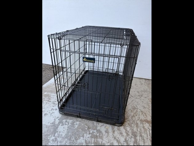 Image for August Multi Consignor Auction - Guelph