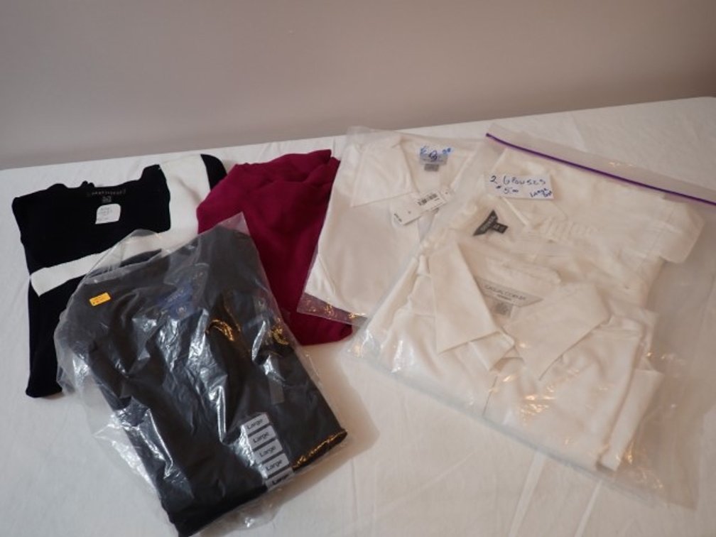 Large Women's Blouses plus