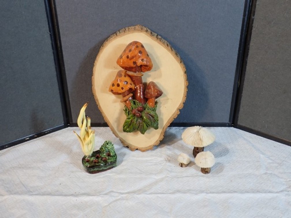Mushies Collection