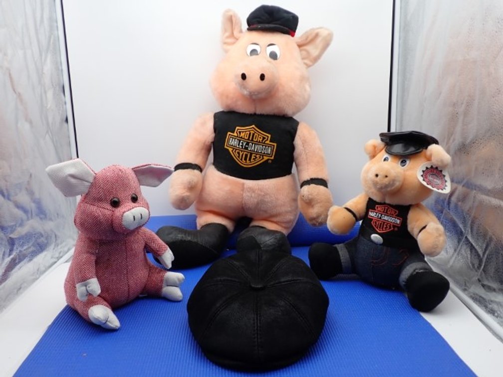 Harley Pigs