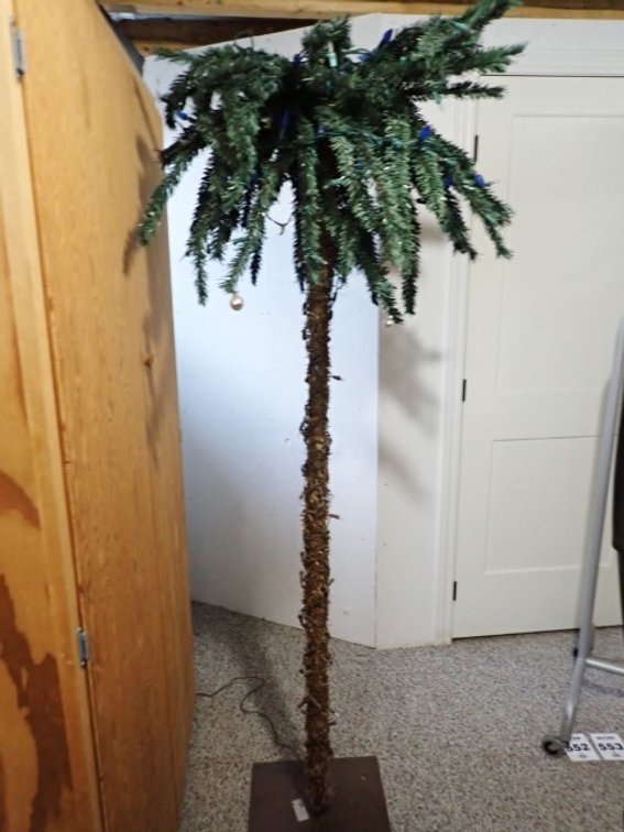 Lighted Palm