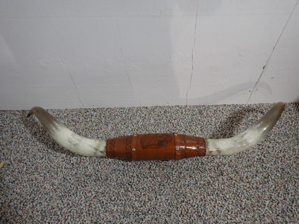 Long Horns