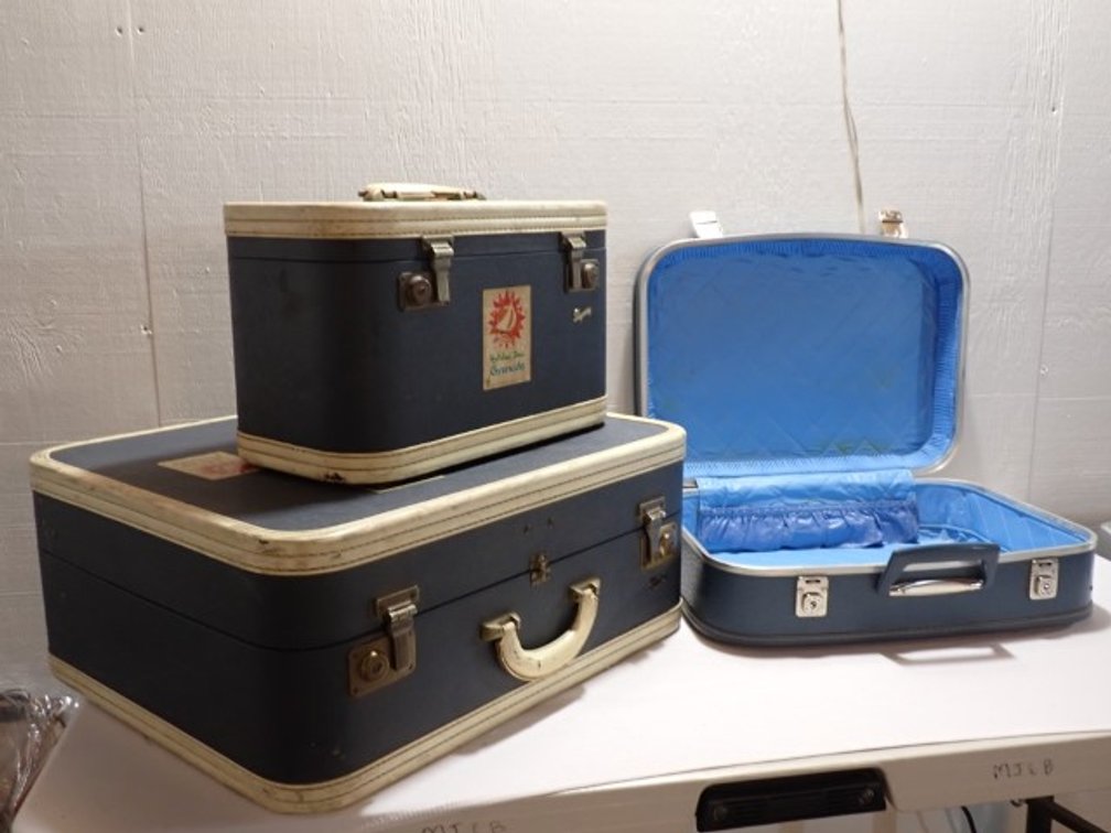 Vintage Skyway Luggage