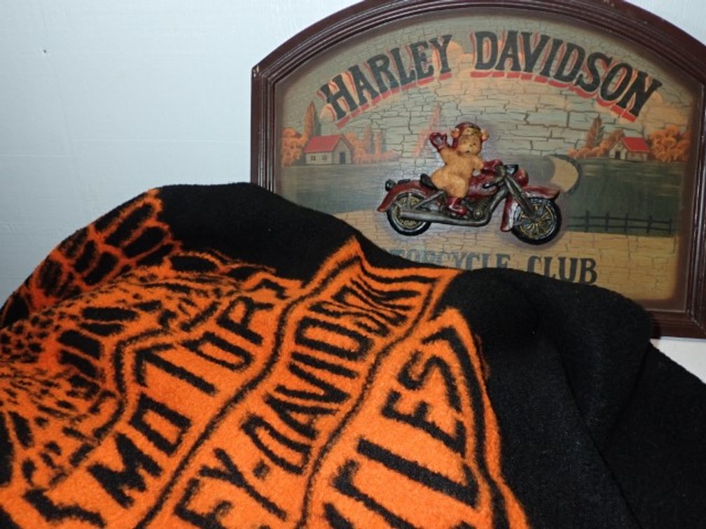 Harley Sign and Throw