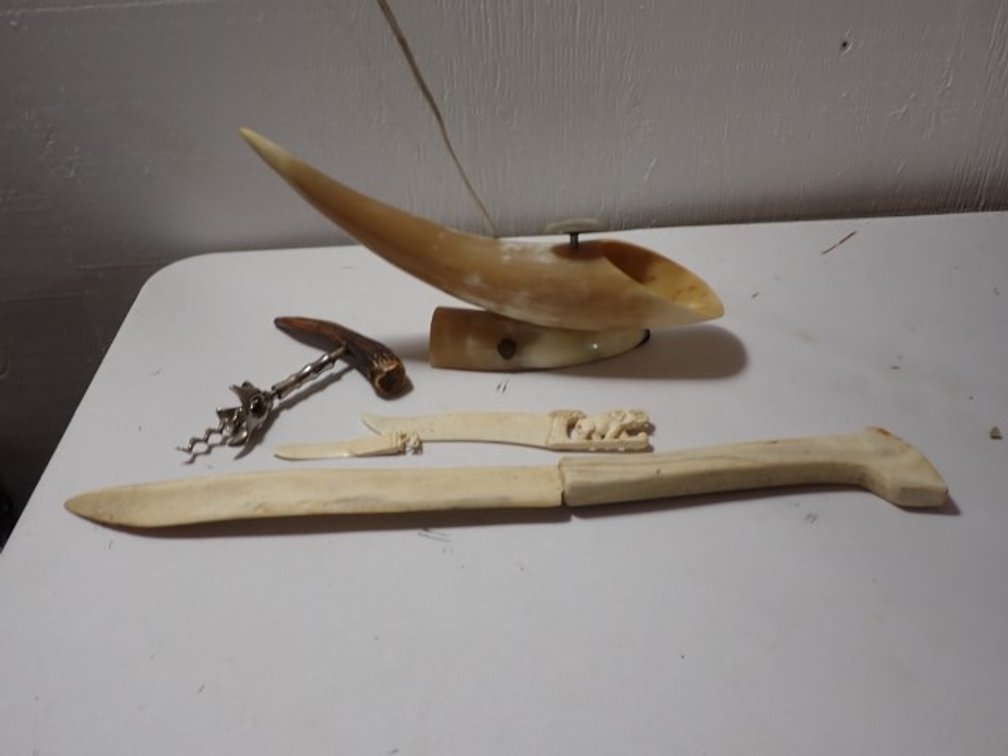 Bone and Horn