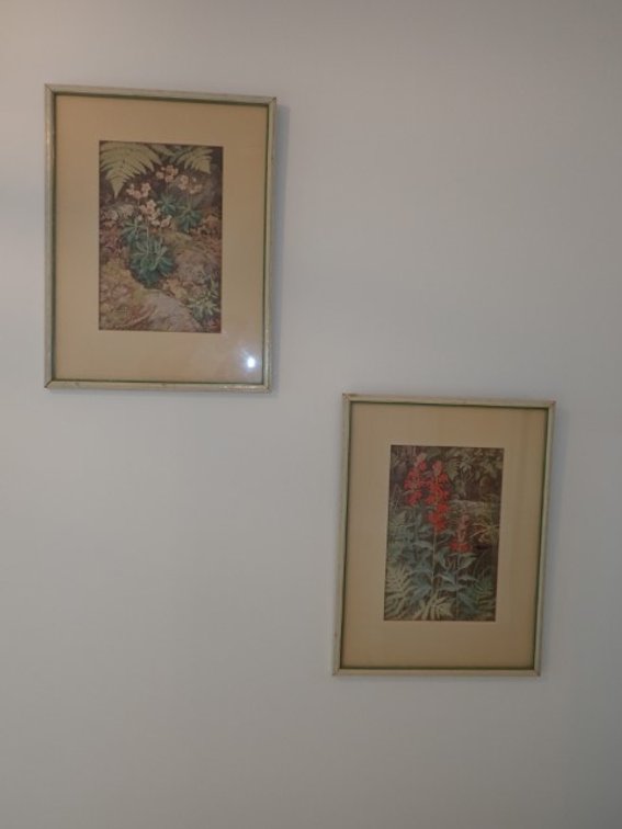 John Barrie Rennie Prints
