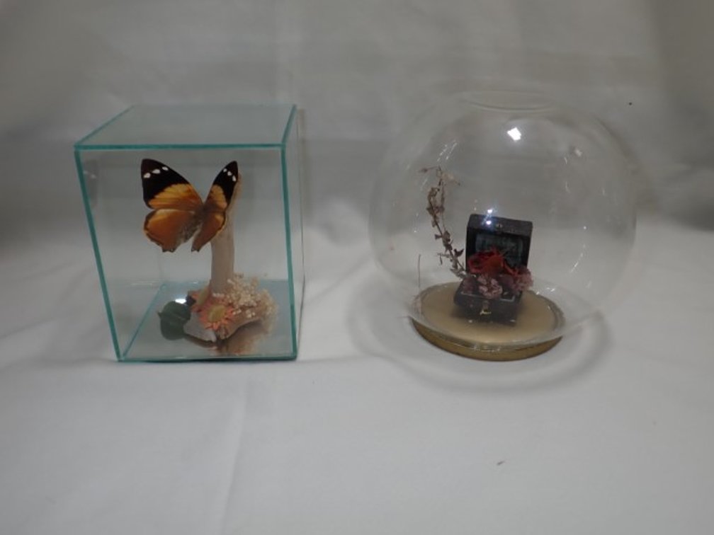 Butterflies and Ring Box