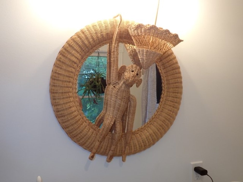 Monkey, Mirror, Brolly