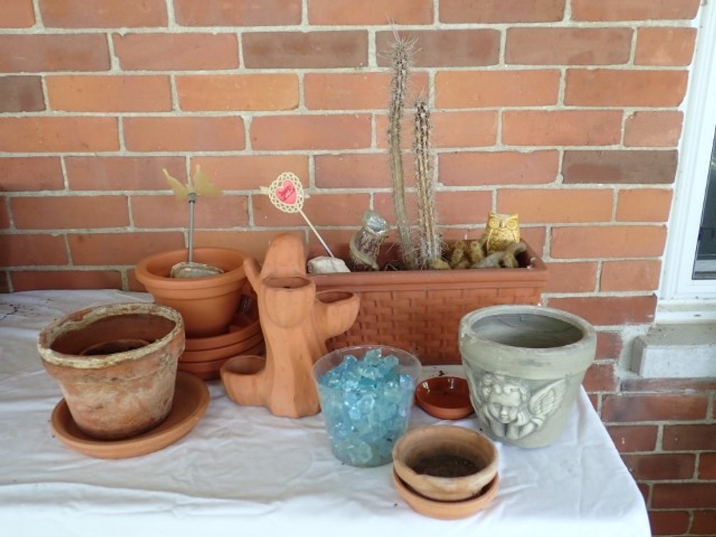 Clay Pots and Cactus
