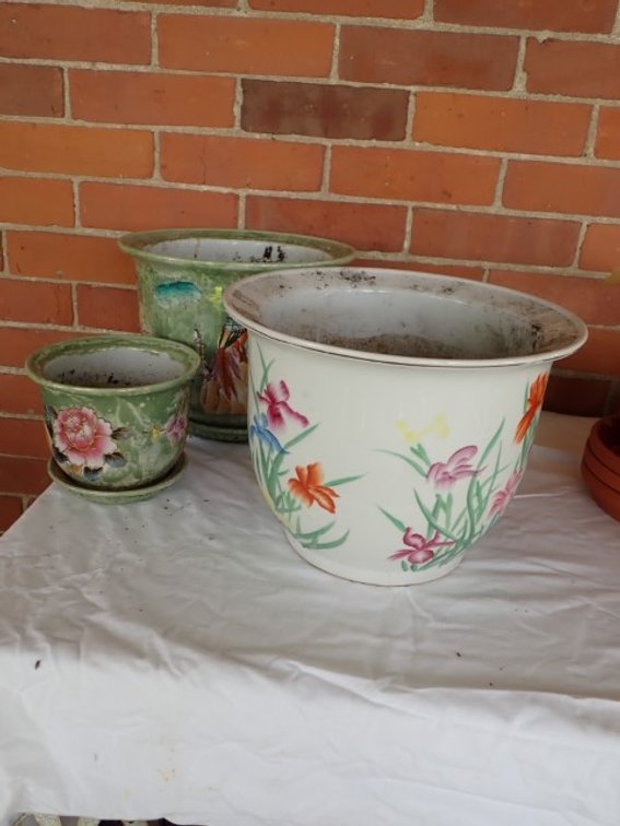 Asian Pots with Peony