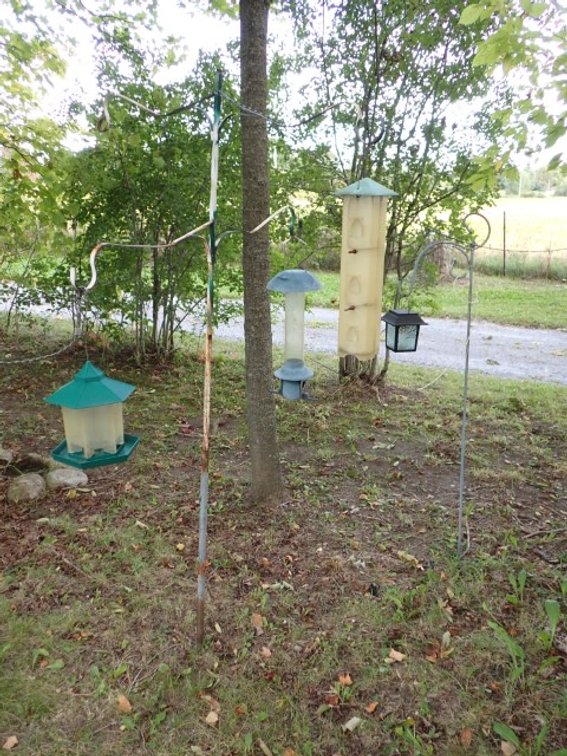 Metal Bird Feeder Pole plus