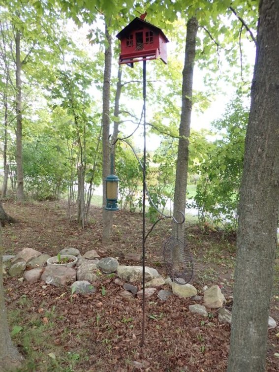 Red Feeder and Pole