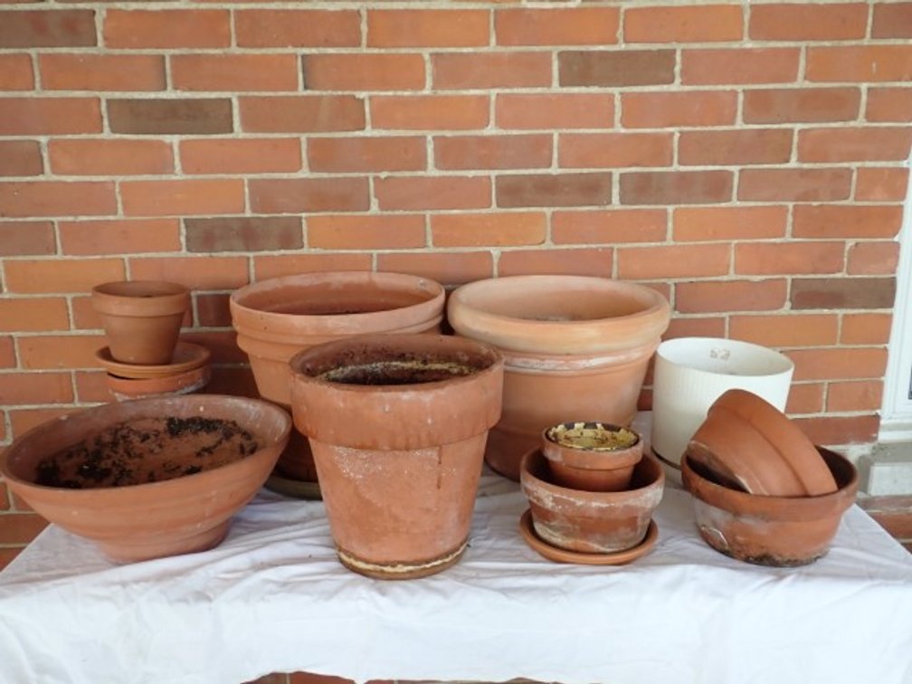 Mostly Clay Pots