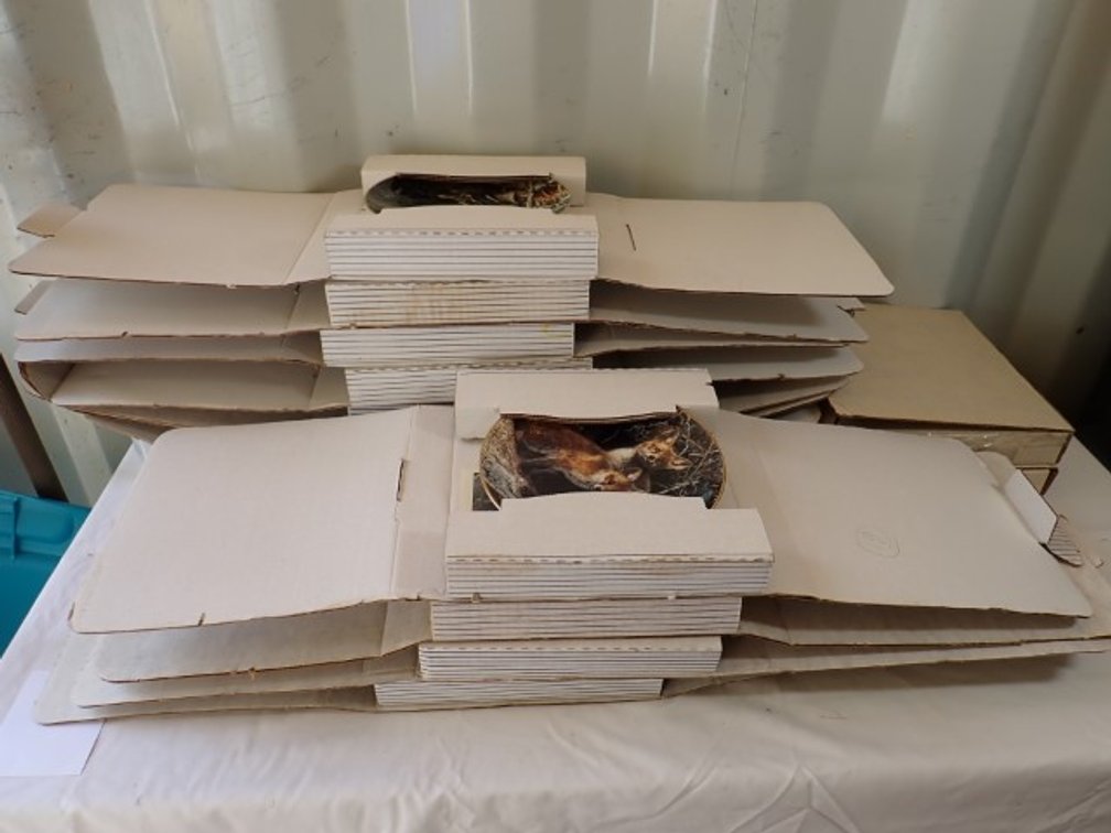 11 Collectors Plates in Nature and Sea