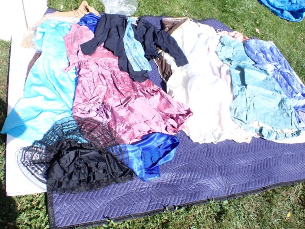 Seven Plus outfits