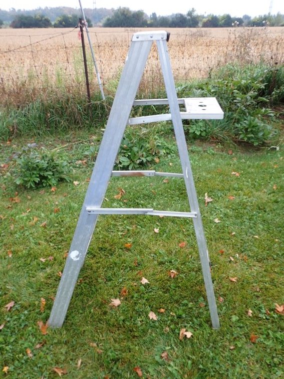 5 Ft Ladder