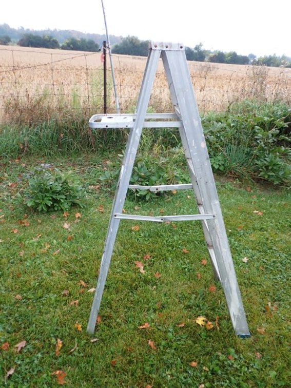 5 Ft Ladder
