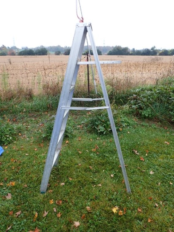 6 Ft Ladder