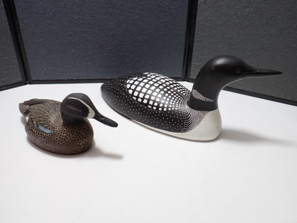 Loon & Duck