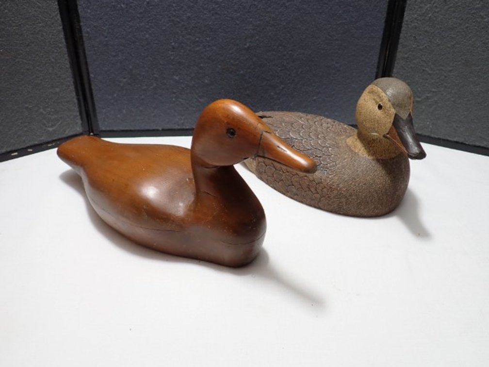Two Wood Ducks