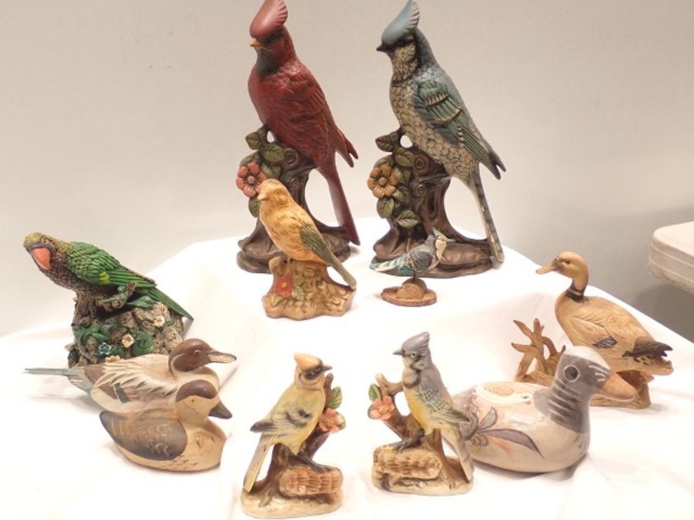 Bunch of Birds !