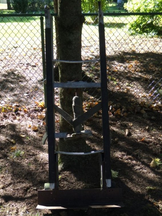 Appliance Dolly