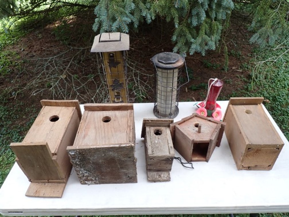 Bird Feeders & Houses