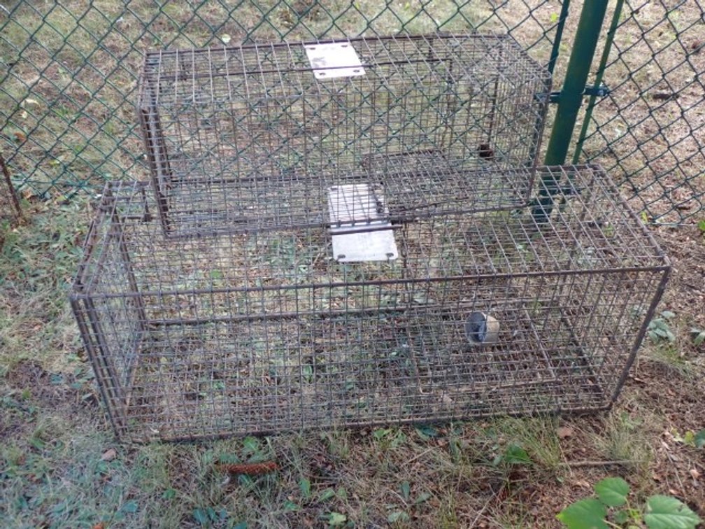 Animal Traps