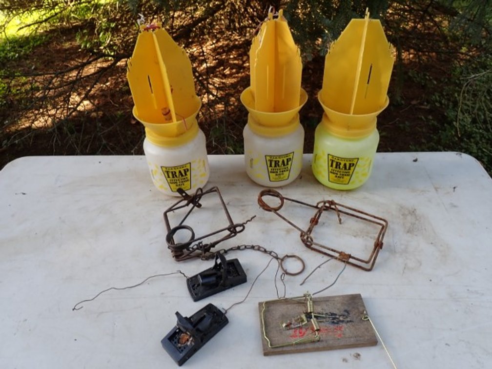 Pest Control Devices