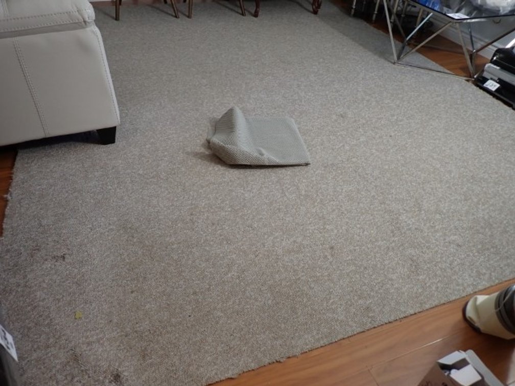 Area Carpet